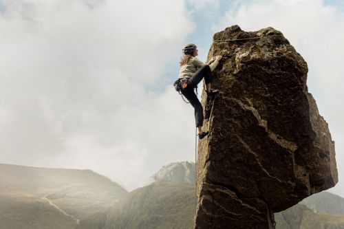 Background Photo Component 2 2