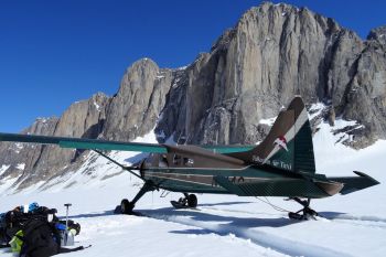 Talkeetna Air Taxi