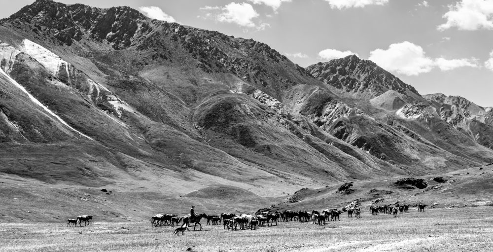 Kyrgyzstan 7195